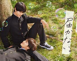 吉林seo服务哪个便宜